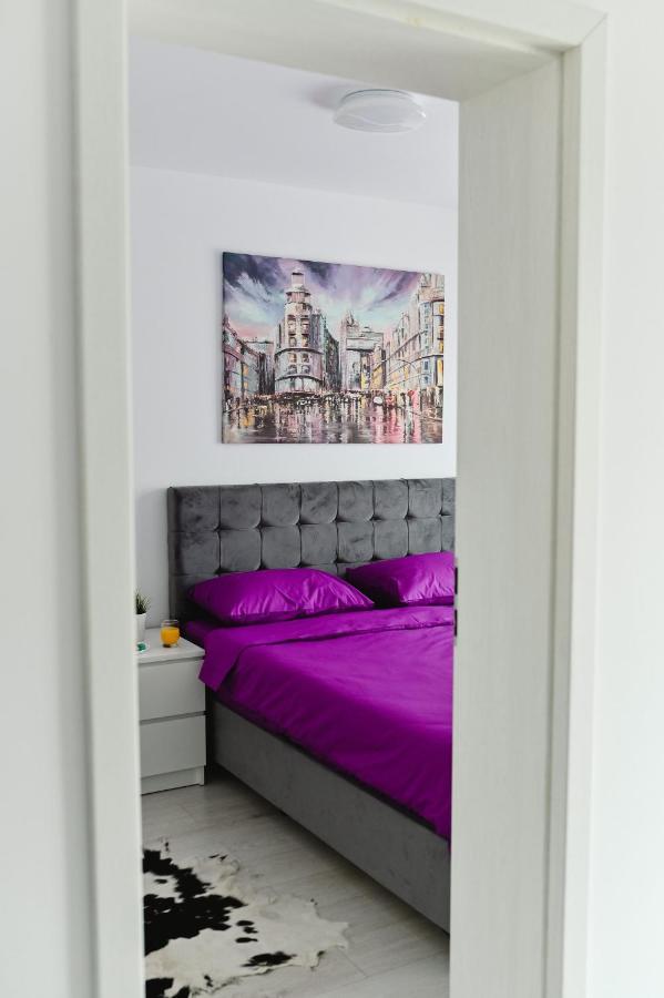 Artec Apartment Sibiu Bagian luar foto